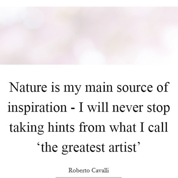 Roberto Cavalli Peach Pink Snakeskin Logo T Shirt Size XS Designer Sexy - Picture 13 of 14